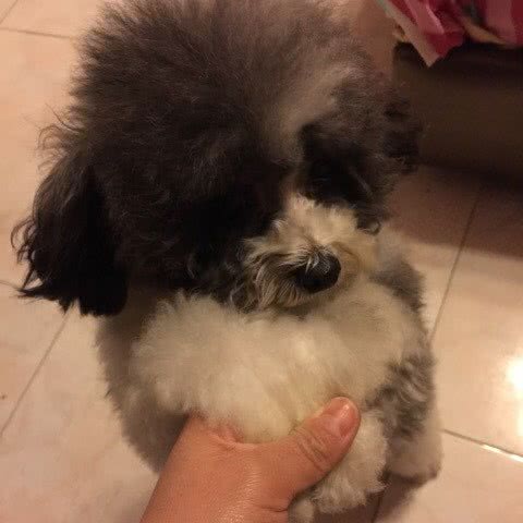 狗仔队:荆州市沙市区女人街附近