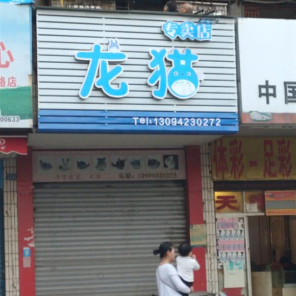 龙猫专卖店:荆州市沙市区沿江路/解放路附近