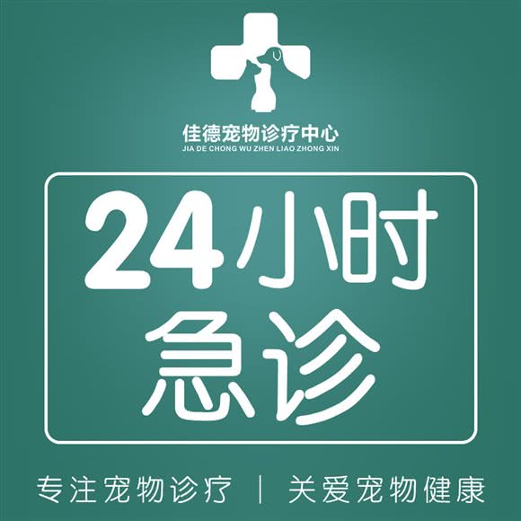 佳德宠物诊疗中心:荆州市沙市区德馨园/塔桥北路附近