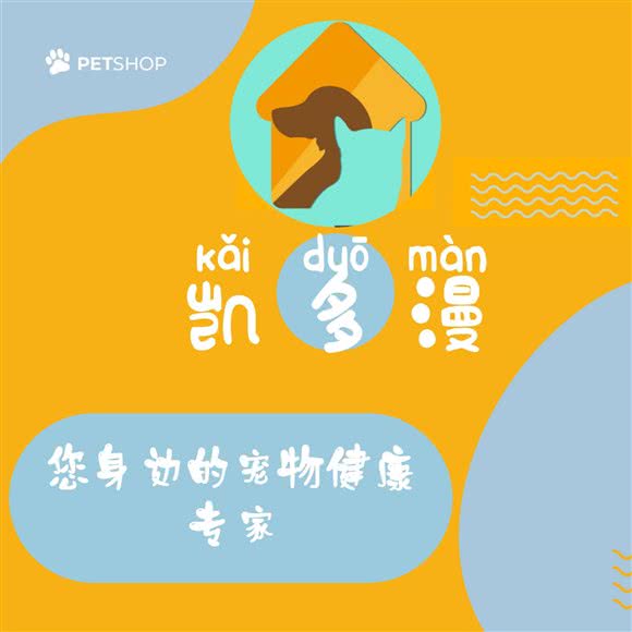 凯多漫宠物:天津城区西青区中北镇附近