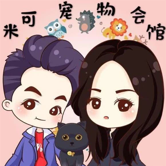 米可宠物会馆:天津城区西青区中北镇附近