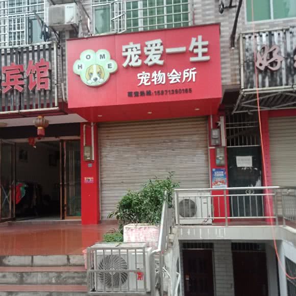 宠爱一生宠物会所:黄冈市黄州区学生街/中洲慧谷附近