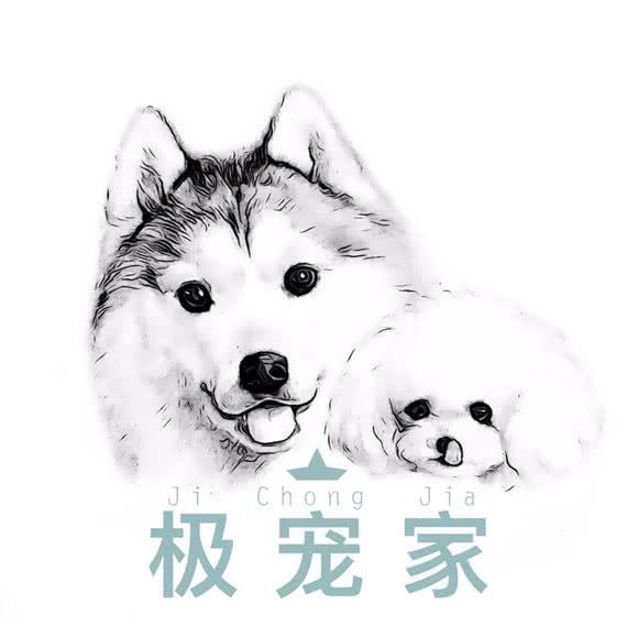 极宠家:天津城区西青区中北镇附近