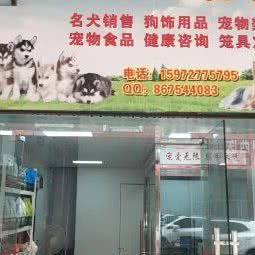 聂郎宠物店(时代广场店):随州市曾都区解放路附近