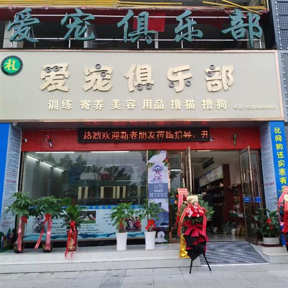 爱宠俱乐部:随州市曾都区文峰广场附近