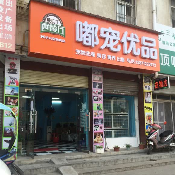 嘟宠优品:随州市曾都区文峰广场附近