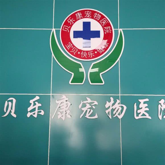 贝乐康宠物医院:随州市曾都区交通大道/老火车站附近