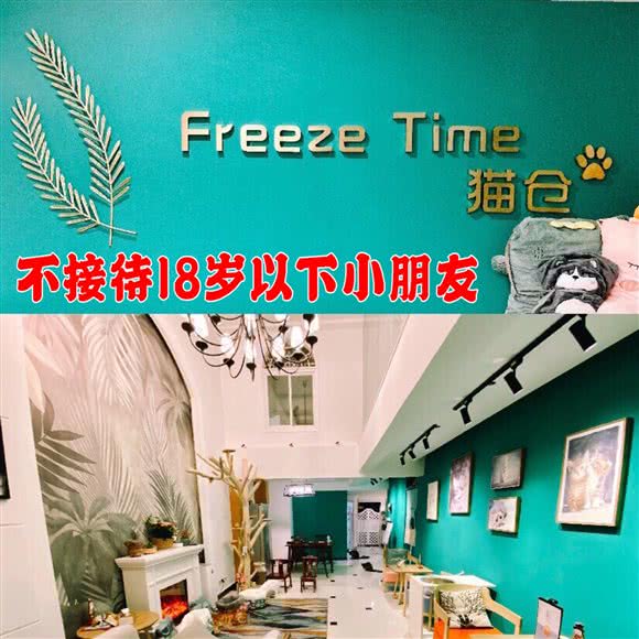 Freeze time &猫仓·猫咖:长沙市芙蓉区解放西路附近