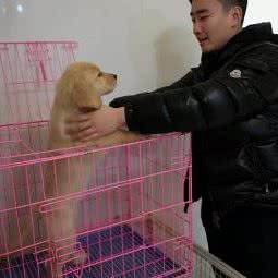 葫芦娃宠物园:长沙市芙蓉区黄兴路步行街附近