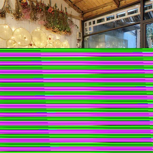 拜迪宠物连锁店(人民路店):长沙市芙蓉区定王台附近