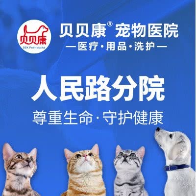 贝贝吉宠物医院:长沙市芙蓉区人民中路/朝阳路/融圣国际附近