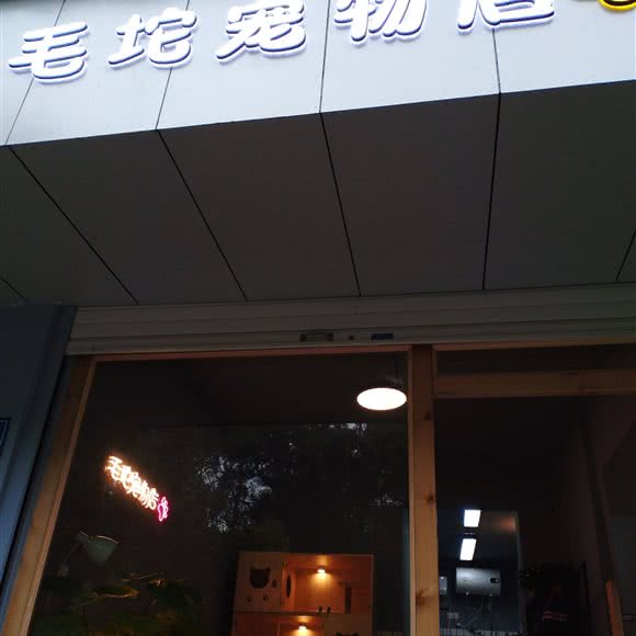 毛坨宠物店:长沙市芙蓉区袁家岭/火车站附近
