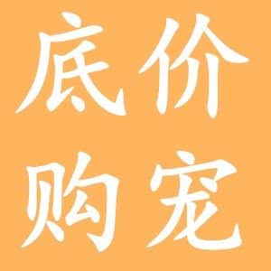 宠物狗猫售卖?纯种健康宠物繁育基地直营?犬舍猫舍总部:长沙市芙蓉区袁家岭/火车站附近