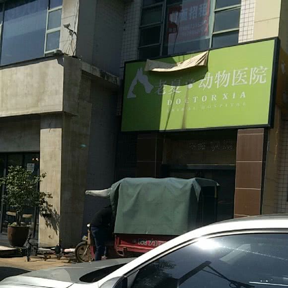 老夏动物医院:长沙市芙蓉区梦泽园附近