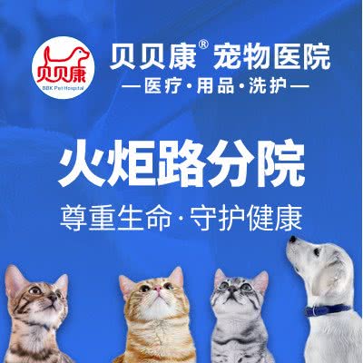 贝贝康宠物医院(火炬路分院):长沙市芙蓉区梦泽园附近
