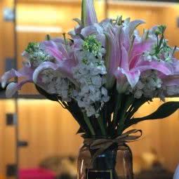 奈熊妈妈宠物酒店(马王堆路店):长沙市芙蓉区德政园/杨家山附近