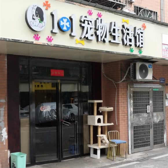 1+1宠物生活馆:长沙市芙蓉区万家丽北路附近
