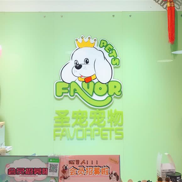 圣宠宠物(天津中北镇店):天津城区西青区中北镇附近