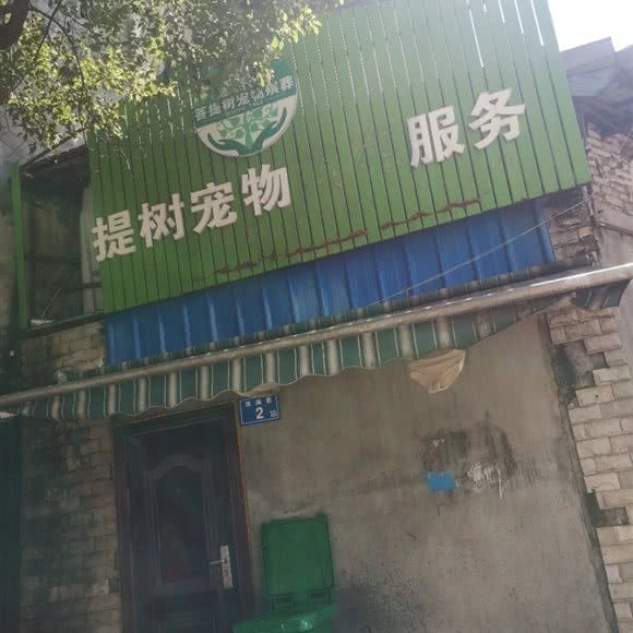 菩提树宠物殡葬优质服务:长沙市芙蓉区晚报大道附近