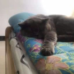 宠乐汇:长沙市芙蓉区晚报大道附近