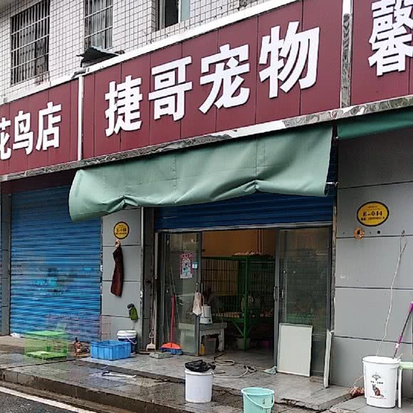 捷哥宠物:长沙市芙蓉区晚报大道附近