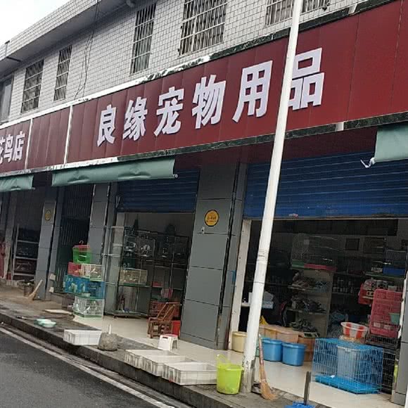 良缘宠物用品专营:长沙市芙蓉区晚报大道附近