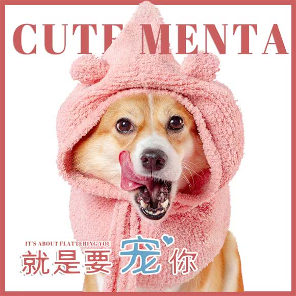 萌小它宠物生活馆(酒仙桥店):北京城区朝阳区酒仙桥附近