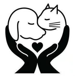 云端宠爱宠物店:长沙市芙蓉区汽车东站附近