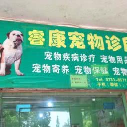 睿康宠物诊所:长沙市芙蓉区汽车东站附近