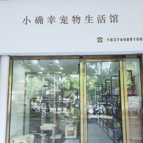 小确幸宠物生活馆:长沙市芙蓉区万家丽国际MALL附近