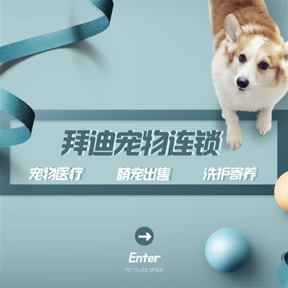 拜迪宠物连锁(天心旗舰店):长沙市天心区芙蓉南路沿线附近