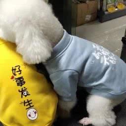 爱尚宠宠物(富兴嘉城店):长沙市天心区芙蓉南路沿线附近