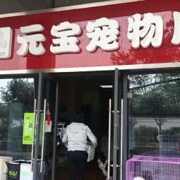 元宝宠物店:长沙市天心区芙蓉南路沿线附近