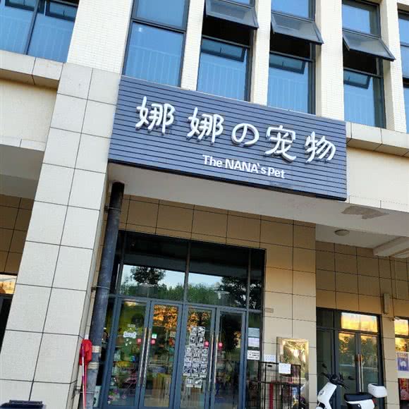 娜娜の宠物:长沙市天心区芙蓉南路沿线附近
