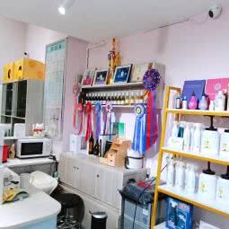 啵恩宠物生活馆(绿地公馆店):长沙市天心区芙蓉南路沿线附近