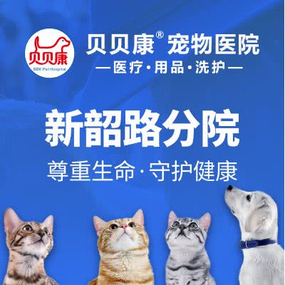 贝贝康宠物医院(新韶路分院):长沙市天心区芙蓉南路沿线附近