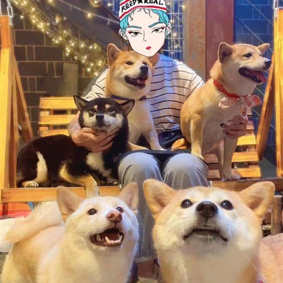 张跑跑柴咖:长沙市天心区天心阁/白沙井附近