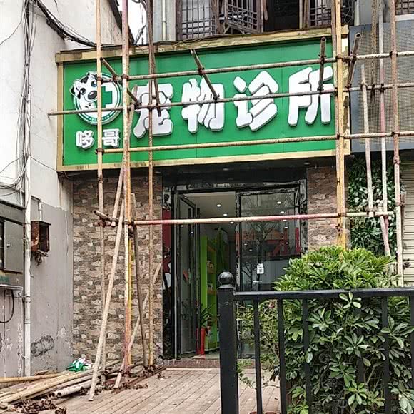 多哥宠物医院:长沙市天心区南门口附近