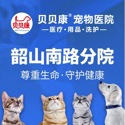 贝贝康宠物医院(韶山南路分院):长沙市天心区铁道学院/林科大附近