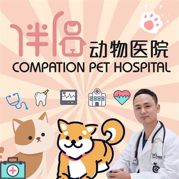 伴侣宠物医院:长沙市天心区铁道学院/林科大附近