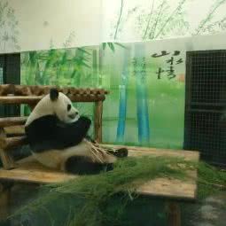 小熊猫馆:长沙市天心区友阿奥特莱斯附近