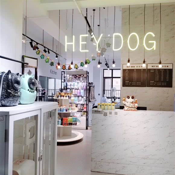 HEY阿猫阿狗宠物店·撸猫:长沙市天心区黄土岭附近