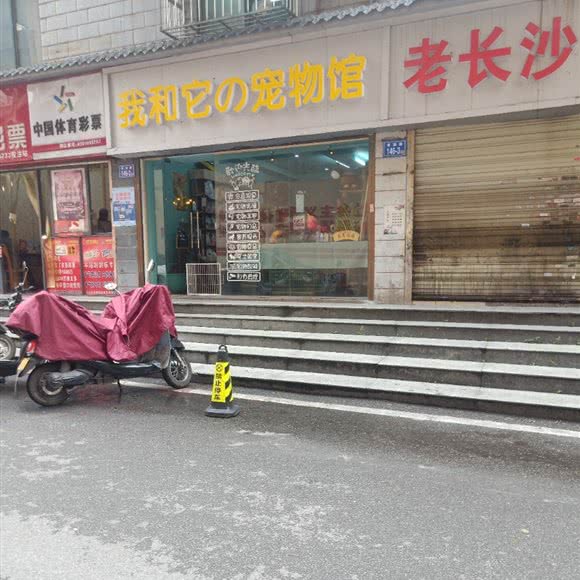 我和它の宠物馆:长沙市天心区黄土岭附近