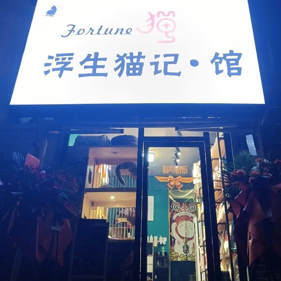 浮生猫记馆:长沙市天心区劳动广场/书院路附近