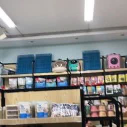 a米宠物:长沙市天心区劳动广场/书院路附近