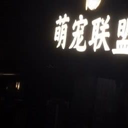 萌宠联盟:长沙市天心区劳动广场/书院路附近