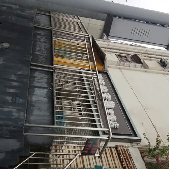 纠结的宠物:长沙市天心区劳动广场/书院路附近