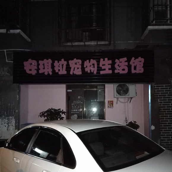 安琪拉宠物生活馆:长沙市天心区劳动广场/书院路附近