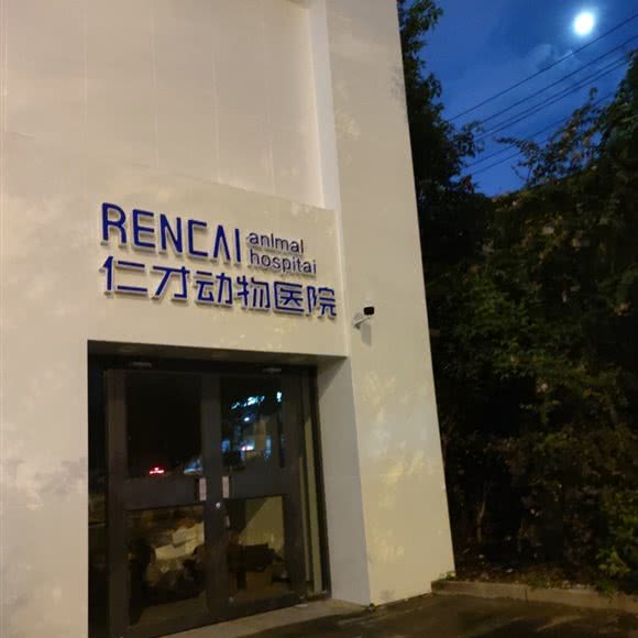 湖南仁才动物医院:长沙市天心区劳动广场/书院路附近