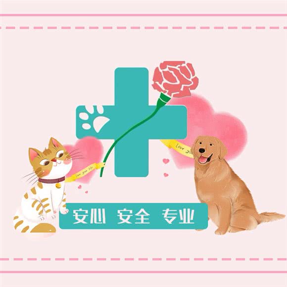 红馨宠物诊疗中心:天津城区西青区中北镇附近